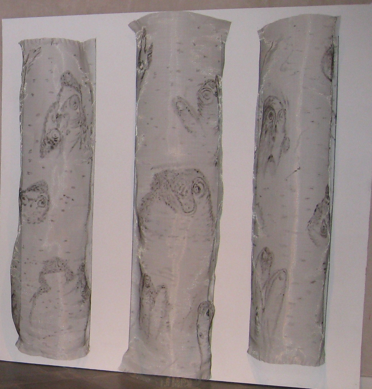 Basoaren Irudiak<br /> <br /> Imágenes en el Bosque