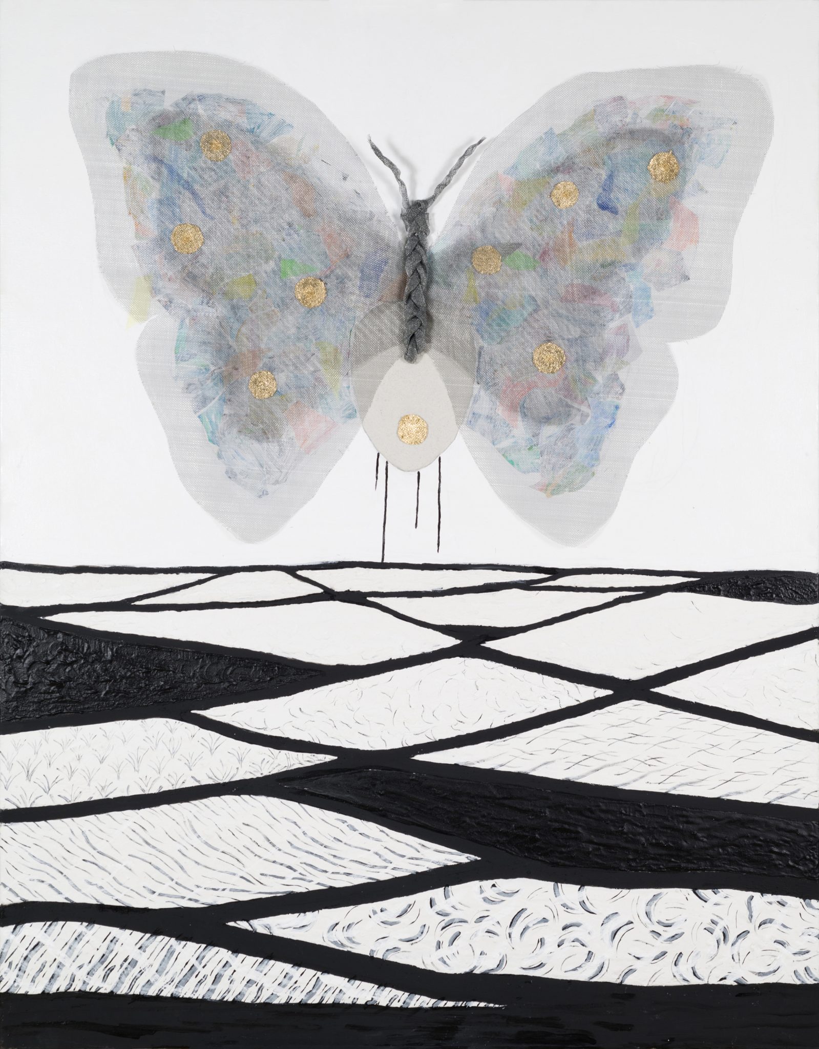 El vuelo de la migración