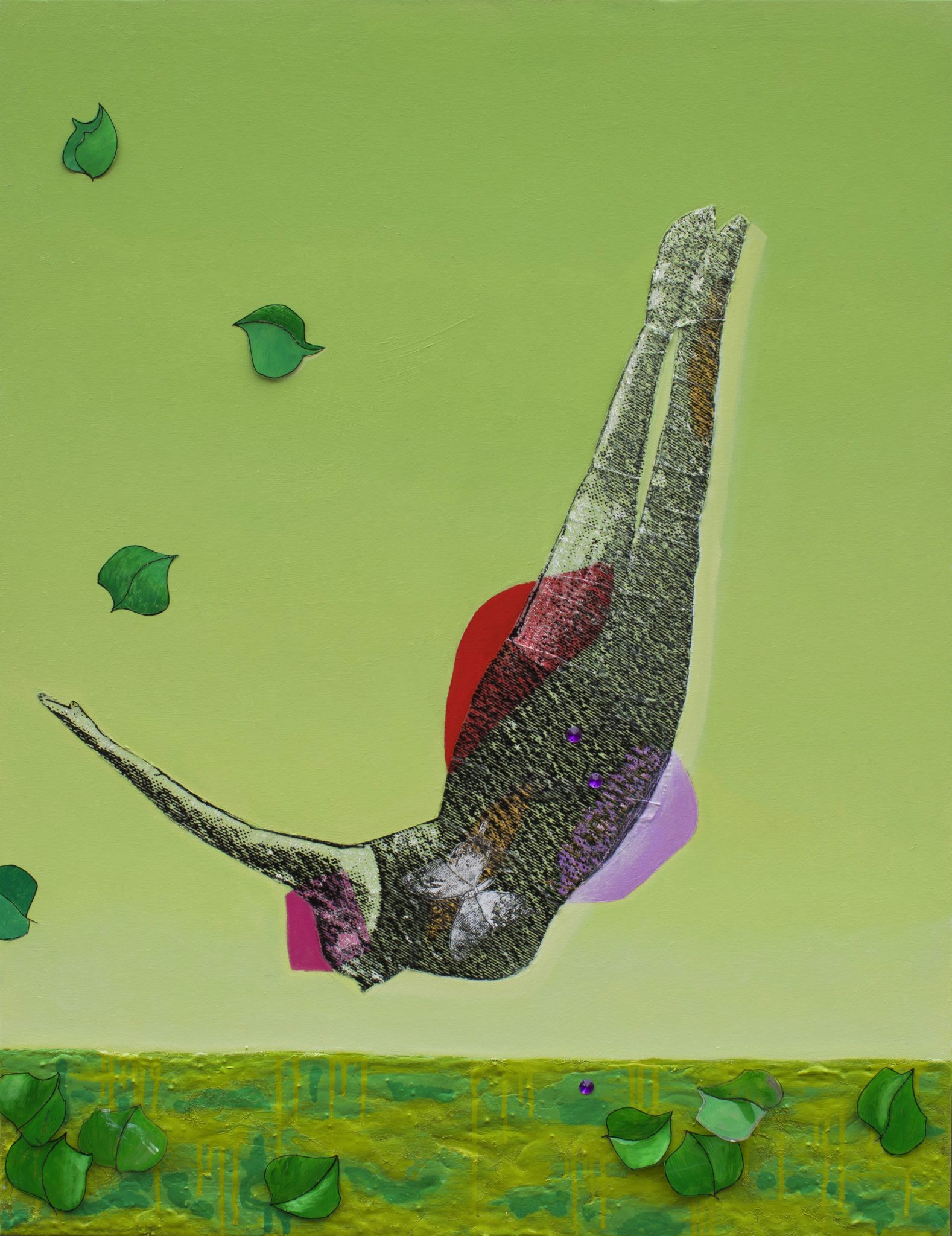 Entro en un nuevo hogar